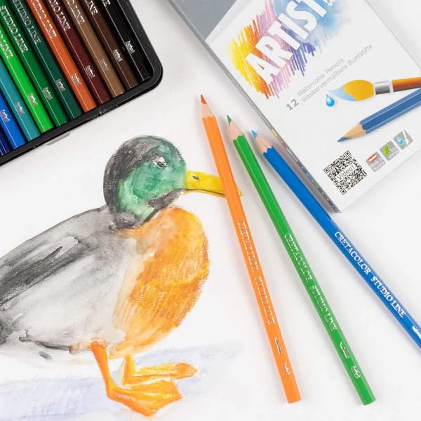 Image of BRUSTRO Artist's Wiro Watercolour Paper Pad, 300 GSM, A4(8.3x11.7 in), 25% Cotton, Cold Pressed, 15 Sheets with Cretacolor Studio Line Watercolor Pencil Set of 12,Assorted|for Drawing,Painting