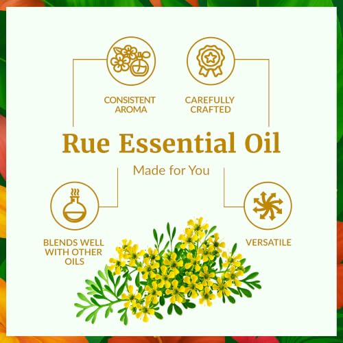 Image of SVA Rue Essential Oil, Glass Bottle with Dropper, 1 Fl Oz (30 ml) | Rue Essential Oil for Diffuser, Skin Care, Hair Care, Massage, Soap Making, Candle Making, Home Fragrance & DIY Blending