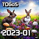 4070363 Records DK