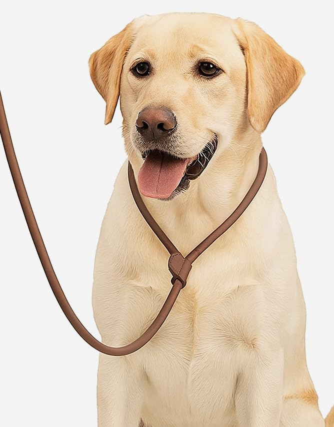 Premium Rolled Leather Slip Leash Dog Lead – Durable Training & Walking Lead – Soft, Strong, and Comfortable – 45 Inch Length for Everyday Use, Dark Brown Over Hoop Leads