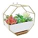 XiaZ Hanging Planter Wall White Hexagon Ceramic, Brass Stand and Bamboo Saucer, Succulent Air Plants Cactus Pearls Vase Holder Container, Flower/Plants Pots for Indoor or Outdoor Decoration