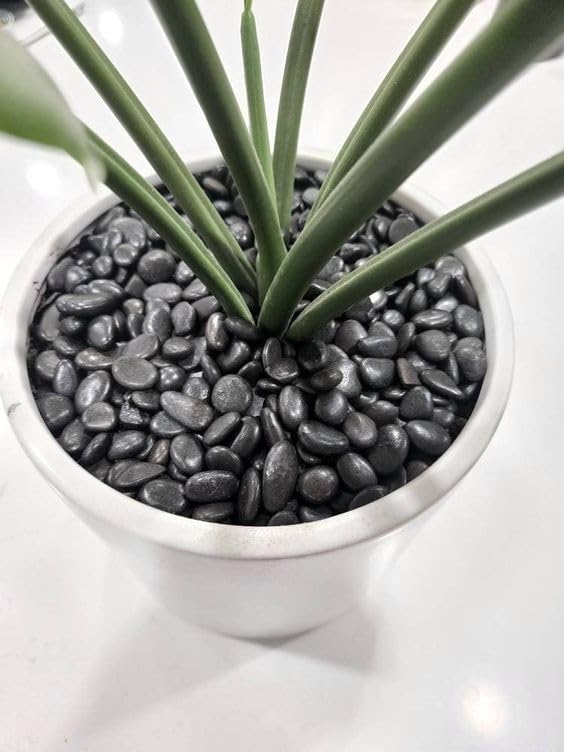 Garden Sajao Pebbles (1, Kilograms) 2