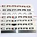 Yoaoo 2Pack OEM Letter Emblem 3D Badge Compatible with Zl1 1LE Rs Ss Zl1 Z28 Matte Black