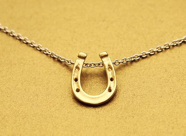 LANG XUAN Good Luck Horseshoe Pendant Friendship Chain Necklace with Meaning Card for Women Silver Gift - 4