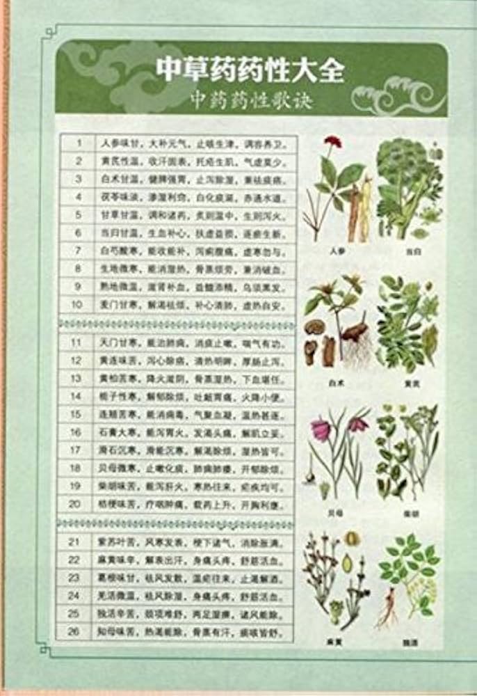 神農本草経 国学典蔵館 釈文と解釈付き絵本 中国語版人文思想