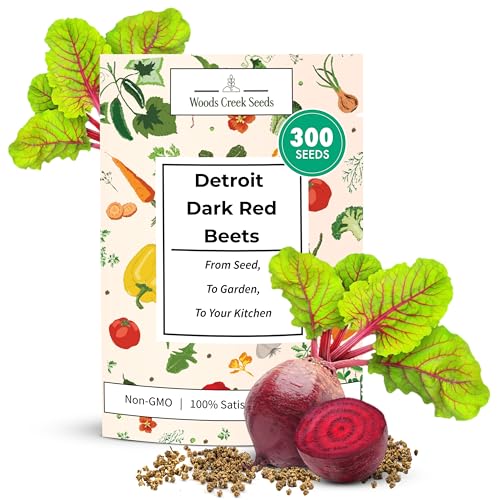 Detroit Dark Red Beet Seeds for Planting Outdoors or Indoors - Heirloom Root Vegetable Seeds - Non-GMO Dark Red Beets Seed Pack - Easy to Grow, Sweet Flavor & Edible Greens | Woods Creek Seeds
