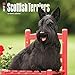 Scottish Terriers 2017 Wall Calendar 12