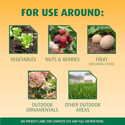 Image of Ortho Bug-Geta Snail & Slug Killer2, Pest Control Stays Effective For Up to 3 Weeks, 2 lbs