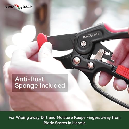 FLORA GUARD 8" Professional Ratchet Anvil Secateurs, Ratcheting Mechanism, Reinforced Design Handle, Gardening Secateurs, Anvil Garden Pruner 5 FLORA GUARD 8" Professional Ratchet Anvil Secateurs, Ratcheting Mechanism, Reinforced Design Handle, Gardening Secateurs, Anvil Garden Pruner - Image 5