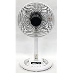 エスケイジャパンの扇風機 SKJ-K309DC8