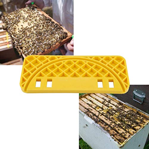 juler Honey Bucket Frame Holder Plastic Beekeeper Scraper