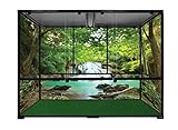 Carolina Custom Cages Terrarium, Bio Deep 48Lx24Wx36H, Easy Assembly