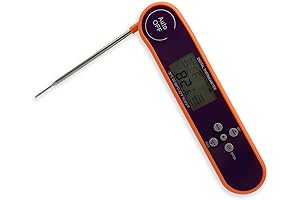 Talking Thermometer: Precision Cooking Guide for the Blind