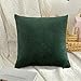 MIULEE Housse de Coussin en Velours Décoratif Canapé outgeek Home Decor Taie d'oreiller Super Doux Decoration Maison Salon Chambre pour Canapé Clic Clac 65 x65 cm 26"x26",1 Pièce Vert Foncé