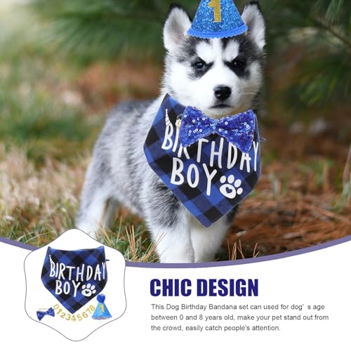 Set de disfraz de cumpleaños para perro con bufanda azul miniatura 3