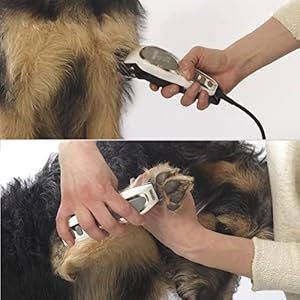 Wahl-Pet-Pro-Corded-Clipper-Battery-Trimmer-Pet-Grooming-Combo-Kit-for-Dogs-with-Light-to-Thick-Coats-The-Brand-Used-by-Professionals-Model-9284 - Cucciolini Doodles   Wahl-Pet-Pro-Corded-Clipper-Battery-Trimmer-Pet-Grooming-Combo-Kit-for-Dogs-with-Light-to-Thick-Coats-The-Brand-Used-by-Professionals-Model-9284