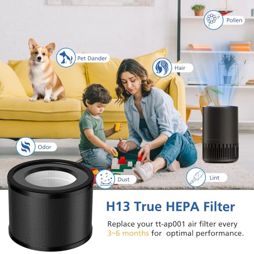 Image of 2 Pack TT-AP001 Replacement Filter, Compatible with TaoTronics TT-AP001 and VAVA VA-EE014, 3-in-1 HEPA and Activated Carbon Filter