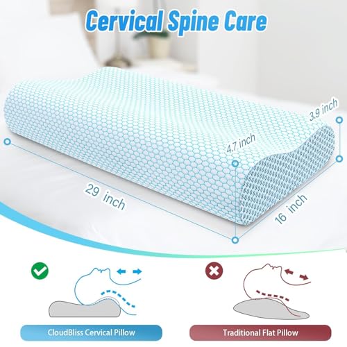 CloudBliss Memory Foam Pillow, Ergonomic Neck Contour Cervical Pillow for Back and Shoulder Pain, Orthopedic Pillow for Neck Pain Relief, for Sleeping Side, Back, Stomach Sleepers - Blue, Queen