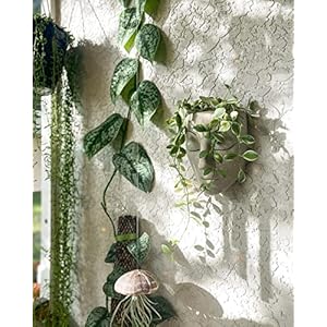 Wall Planter | 7 Colors Avail | Unique Face Planters Pots Head Planter - Plant Gifts for Indoor Plant Lovers Gift Ideas - Face Planter Gifts for Plant Lovers, Succulent Plant Gift - Beige Wall Planter 7 Colors Avail Unique Face Planters Pots Head Planter Plant Gifts for Indoor Plant Lovers Gift Ideas Face Planter Gifts for Plant Lovers Succulent Plant Gift Beige