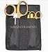 6 Piece Gold Paramedic Set with Case - Diagnostic EMT Nursing EMS Emergency