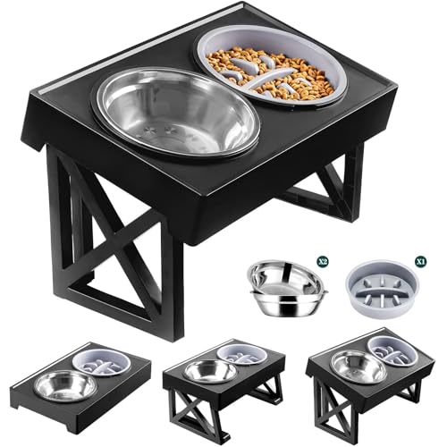 Top 10 Elevated Dog Food Bowls for Healthy and Happy Pups Our Buying