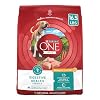 Purina One Plus Digestive Health Formula Dry Dog Food Natural with Added Vitamins Minerals and Nutrients 165 lb Bag