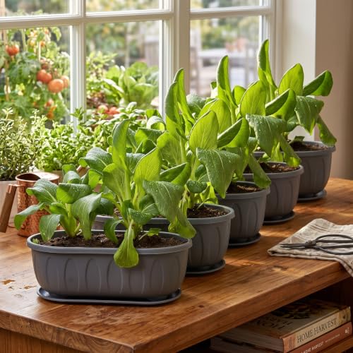 Image of Plastic Rectangle Round Corner Flower Pots with Drainage Hole Saucers Durable Outdoor Indoor Planters with Tray Plant Containers for Balcony, Garden, Home & Office (Grey, 5)