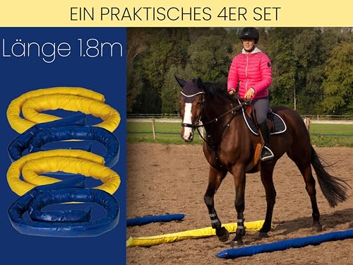 AMF Life Longier-Hilfe für Pferde, blau & gelb, 4 STK., 1,8m lang, Pferdeausbildung, Richtläufer, Bodenarbeitshindernis, Hindernis-Stangen