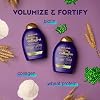 OGX-Thick-Full-Biotin-Collagen-Shampoo-Conditioner-Set-packaging-may-vary-Purple-13-Fl-Oz-Pack-of-2