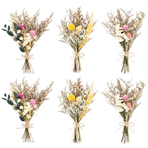 MINISOISO 6 Pièces Petit Bouquet Fleurs Séchées, Mini Fleurs Séchées, Fleurs Séchées Naturelles, Fleur Sechees Decoration pour Scrapbooking, DIY Artisanat, Mariage et Fête
