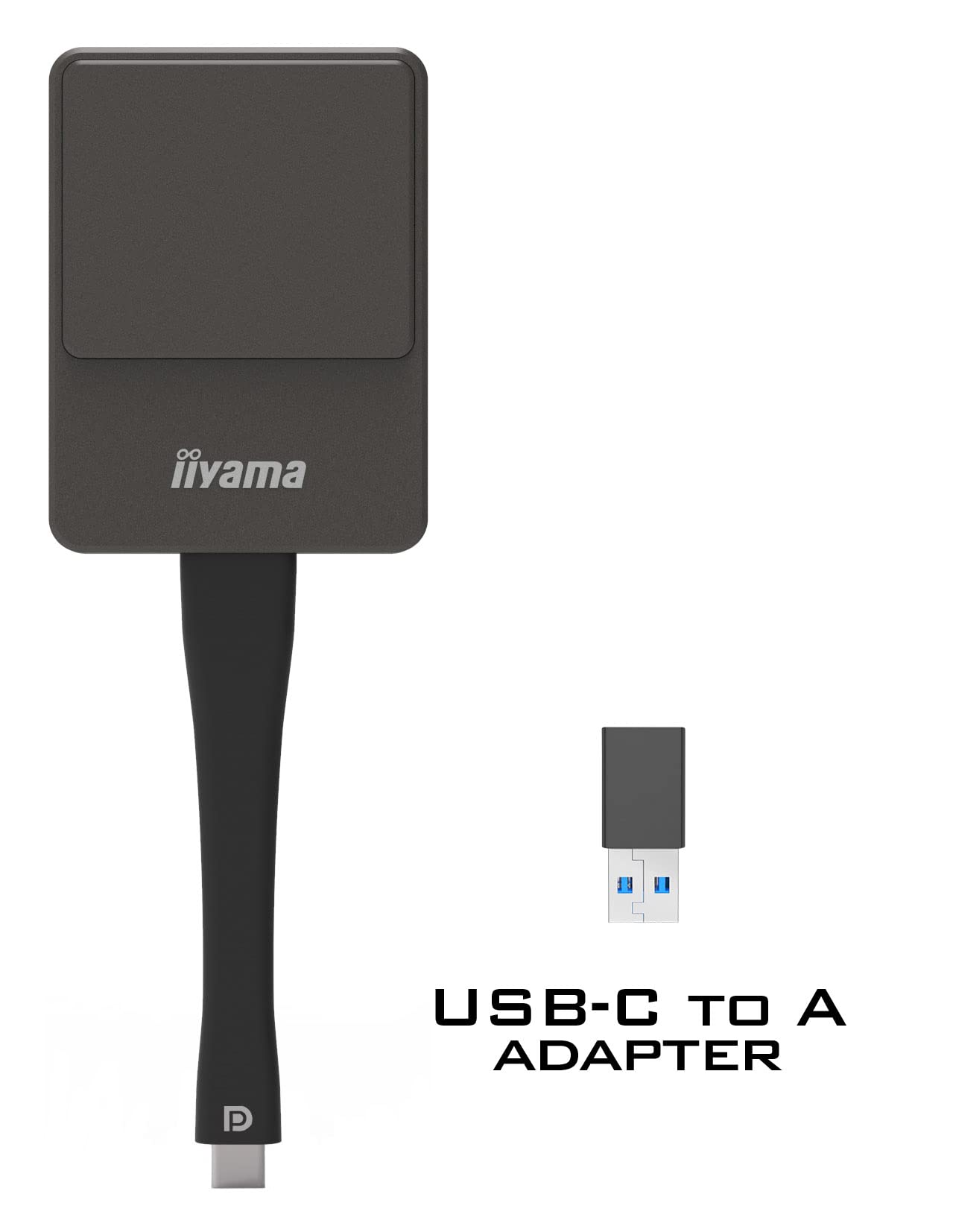 Iiyama Wp D002c - NetzwerkmedieN-StreaminG-Adapter - Silver/black (wp D002c)