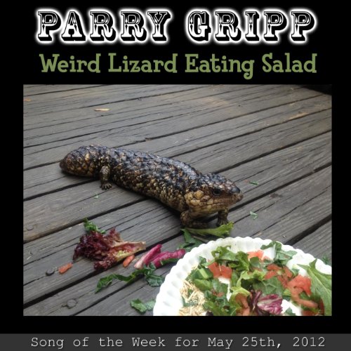 10 MustHave Products for the Weird Lizard Lover A Comprehensive