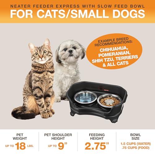 Neater Feeder Express Mess Proof Dog Bowls Elevated for Small Breed – Made in USA – No Spill Raised Slow Feeder Elevated Dog Bowl Stand, Stainless Steel Food and Water Bowl Set, Black