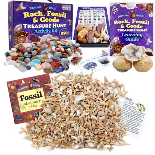 DANCING BEAR Geology Fossil Bundle â€“ 2 STEM Kits: Rock, Mineral & Geode Activity kit & 1 lb Shark Teeth Fossils