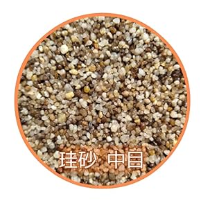 水槽内装（底砂・砂利） - Amazon.co.jp
