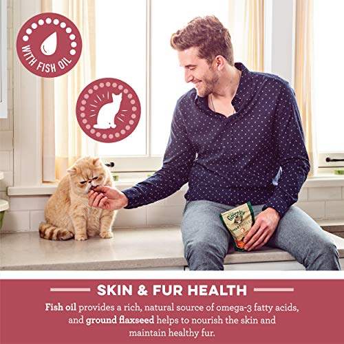 FELINE GREENIES SMARTBITES Skin & Fur Crunchy and Soft Natural Cat Treats, Chicken Flavor, 4.6 oz. Pack - Image 4