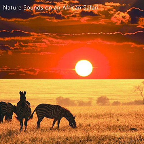 African Sounds & Chill Bees & Soothing Sounds