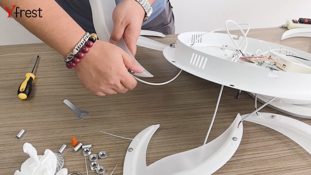 米7” Jan &amp; Dean Love &amp; Hate / Fan Tan 11 JAN &amp; DEAN /00080 Fender Tone Master® Twin Reverb® Blonde, 120V (387