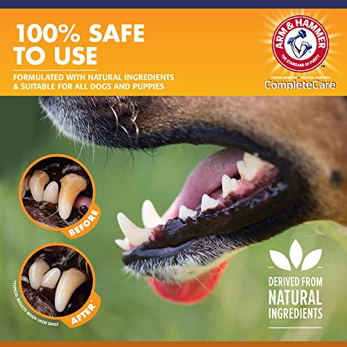 Arm-Hammer-Complete-Care-Enzymatic-Dog-Toothpaste-62-oz-Dog-Toothpaste-for-Puppies-and-Adult-Dogs-Arm-and-Hammer-Toothpaste-for-Dogs-Pet-Toothpaste-Dog-Dental-Care-and-Clean-Dog-Teeth