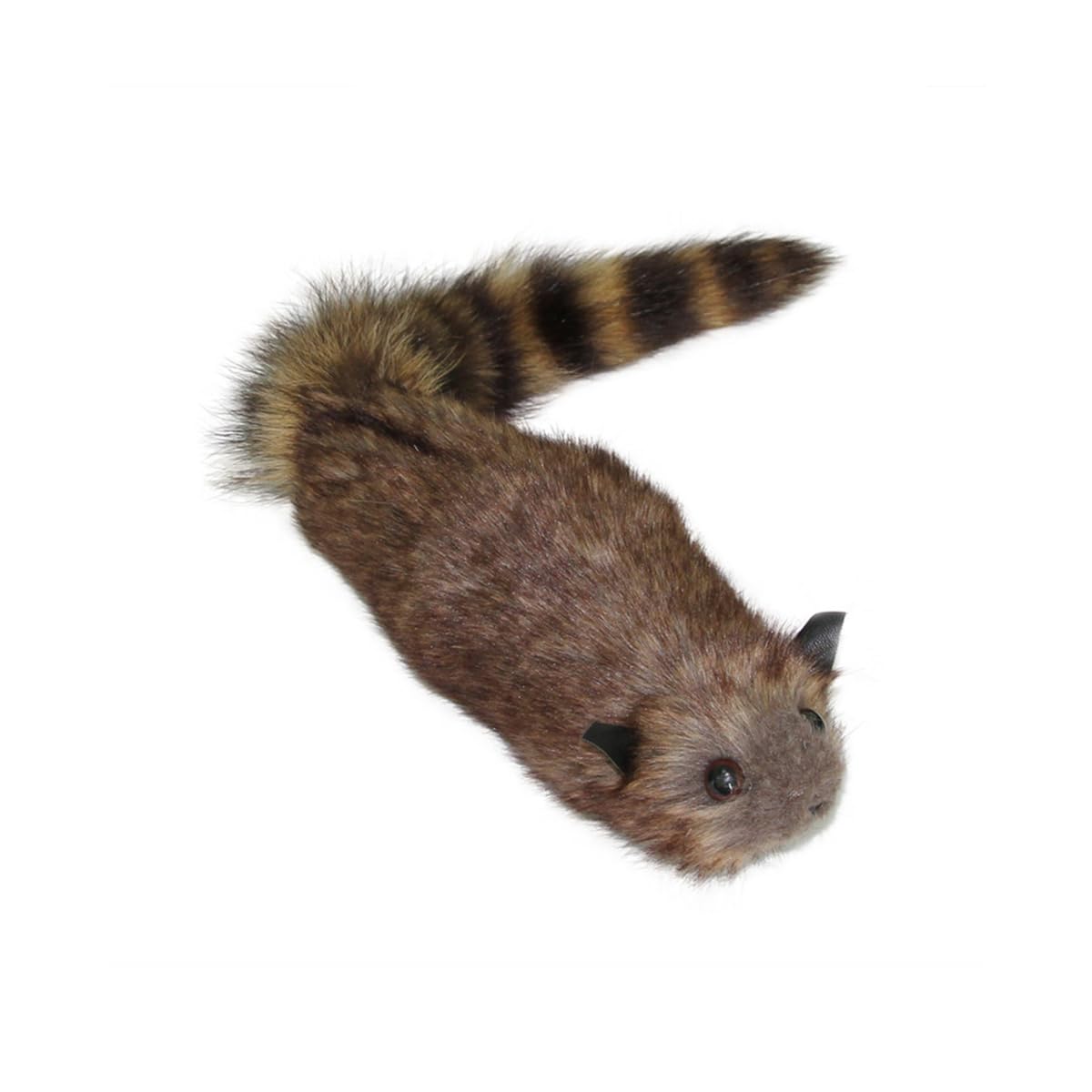 Gutol The Rocky Raccoon Robbie – Spring Animal Appearing Magic Prop for Stage & Street Illusions (Comedy Gimmick)