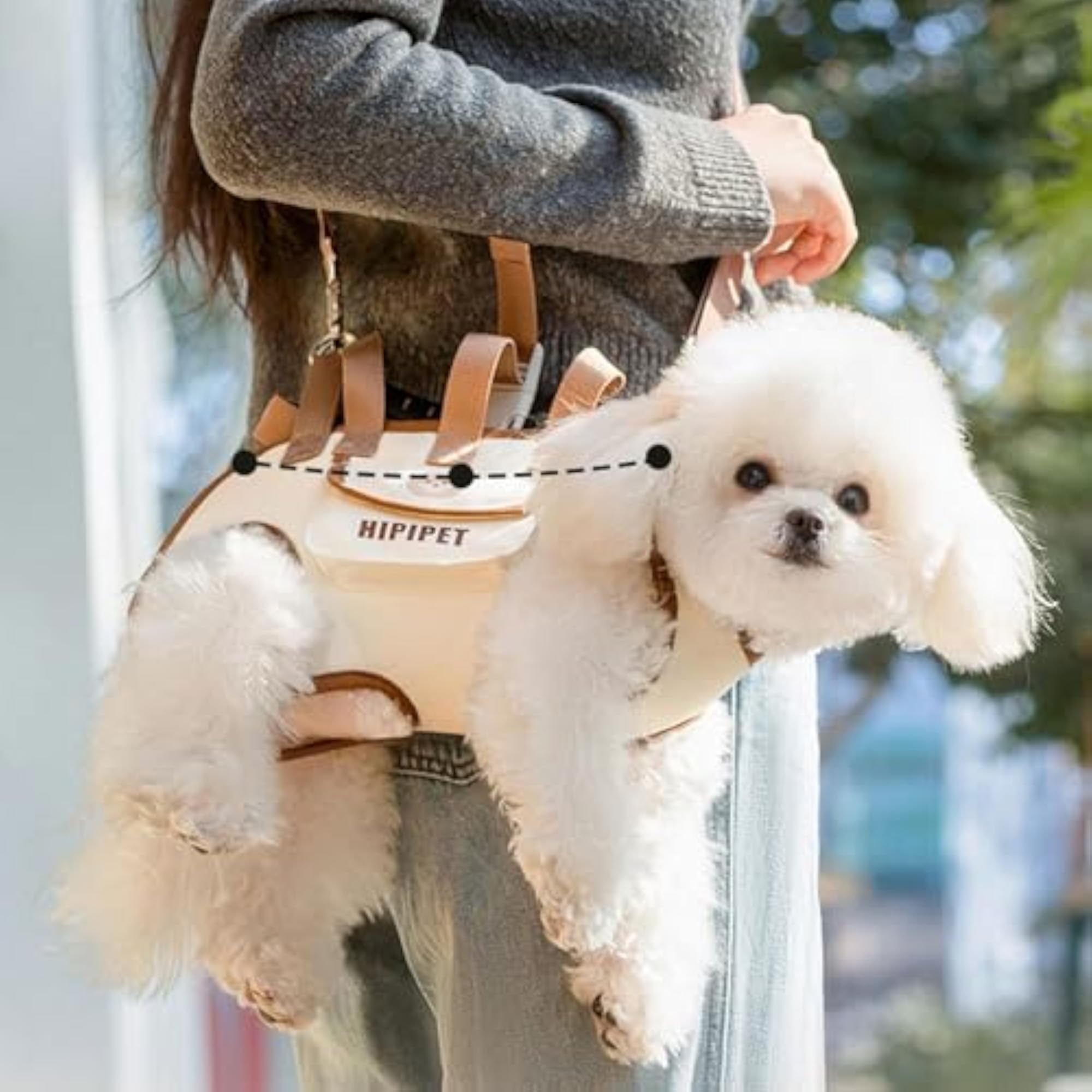 Multifunctional Cute Dog Carrier Lift Harness