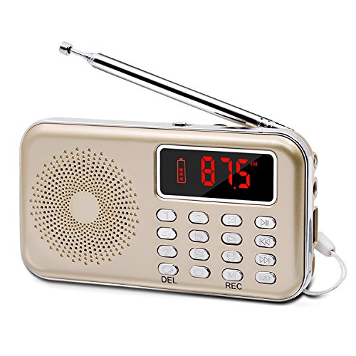 Best Voice Recorder With Usb Golds