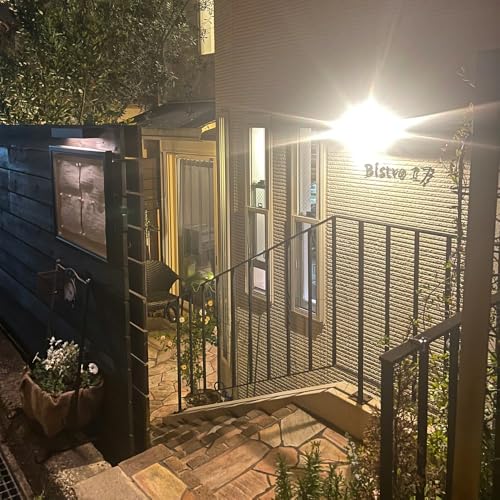 [フランス料理] 乾杯ドリンク付き フレンチフルコースお食事券 (2名様分)|お食事券 お食事チケット フレンチ フランス料理 仏料理 結婚 記念日 誕生日 クリスマス 旅行 観光 トラベル 日帰り レジャー お出かけ [1119]