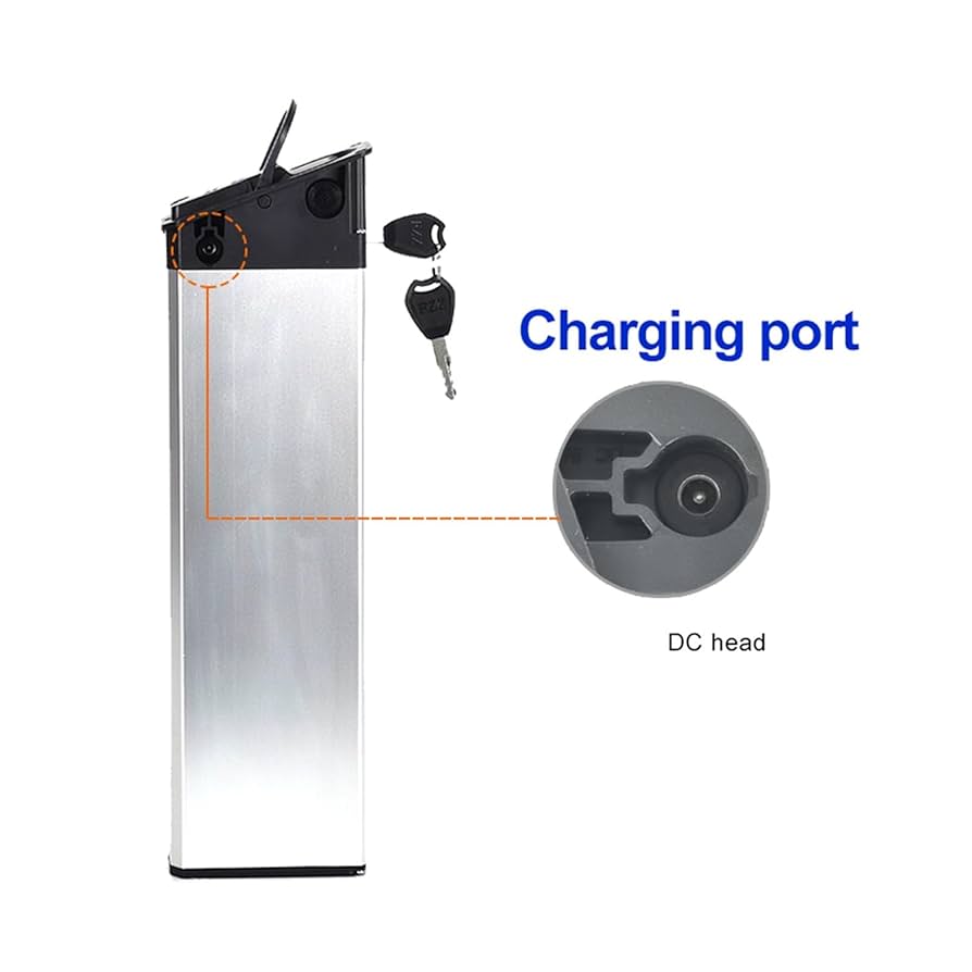 Amazon.co.jp: Ebikeバッテリー バイクバッテリー DCH-009 48V