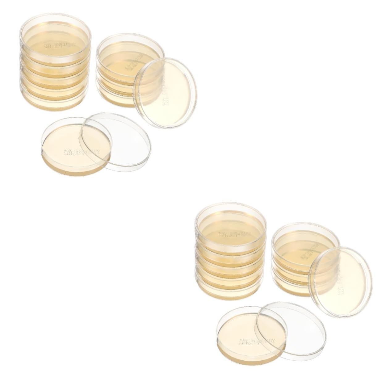 Anneome 20piezas Placas De Agar Prevertidas Para Experimentos Científicos Placas Petri Con Agar Para Cultivo Microbiano Y Proyectos De Feria De Ciencias