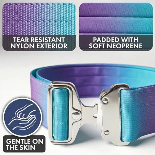 Spark Paws Taktisches Hundehalsband – Robuste, Premium-Qualität, Dick und Langlebig für Große und Mittelgroße Hunde - 90s Retro – L – 3,8 cm