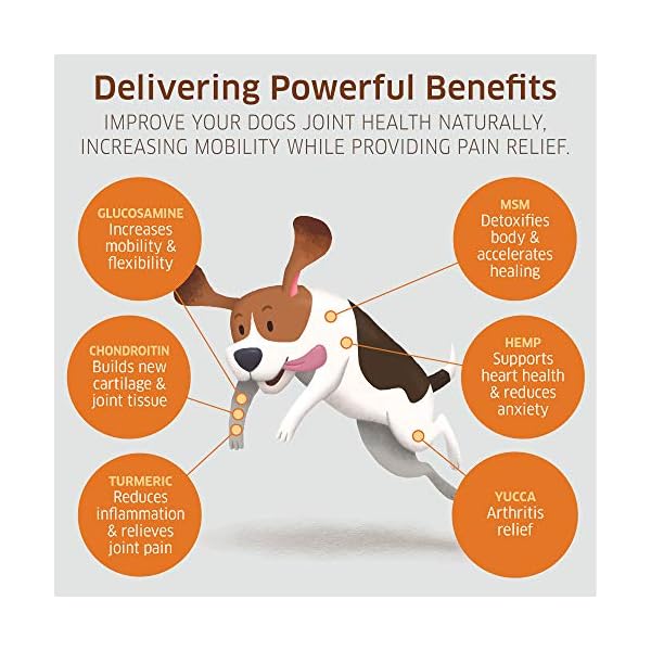 Glucosamine-for-Dogs-Hip-and-Joint-Supplement-Dogs-Glucosamine-Chondroitin-for-Dogs-with-MSM-Hemp-Turmeric-Omega-3-Dog-Hip-and-Joint-Supplement-Dog-Pain-Relief-120-Soft-Dog-Joint-Chews Glucosamine-for-Dogs-Hip-and-Joint-Supplement-Dogs-Glucosamine-Chondroitin-for-Dogs-with-MSM-Hemp-Turmeric-Omega-3-Dog-Hip-and-Joint-Supplement-Dog-Pain-Relief-120-Soft-Dog-Joint-Chews