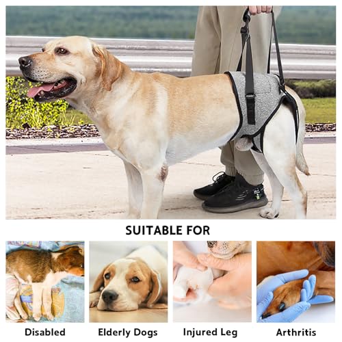 Dog Lifting Harness for Back Legs, Dog Support Harness Slings for Large Medium Small, Adjustable Dogs Brace for Hind Leg, Support Strap for Injured Disabled Elderly Dogs Walking Aid (S) - Image 6