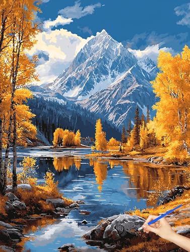 G R hG X Paint by Numbers io[yCg q S DIY Cheerful Painting H| |ph ANLbg l̂߂̃NGCeBuȎ av[g z[ ItBX̕Ǒ