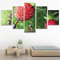 SIGNWIN 5 Panel Canvas Wall Art Modern Art Ants Butterfly Colorful Insects Minimalist Multicolor Photography for Home Decorations Ready to Hang - 60